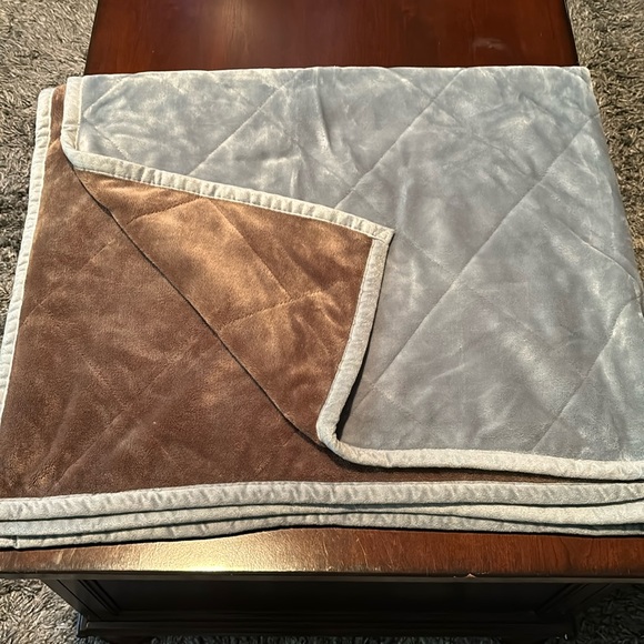 Sonoma Other - Sonoma faux mink feel light blue throw blanket with mink brown lining